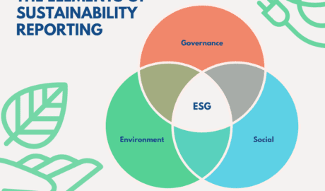 The Elements of Sustainability Reporting
