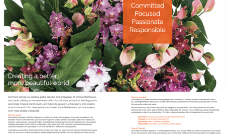 Sustainability Report Writer in Germany