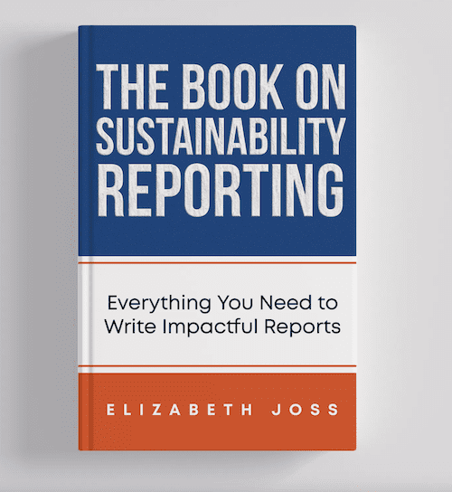 book on sustainability reporting