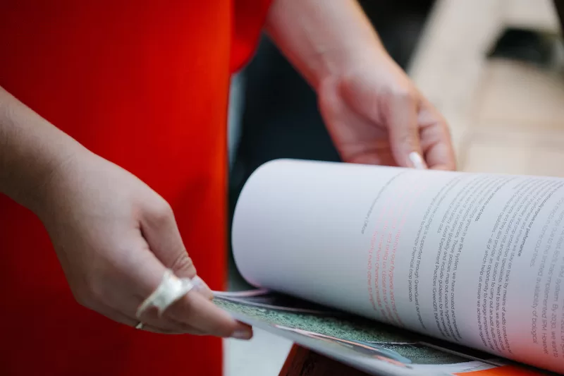 Engelse tekstschrijver nederland