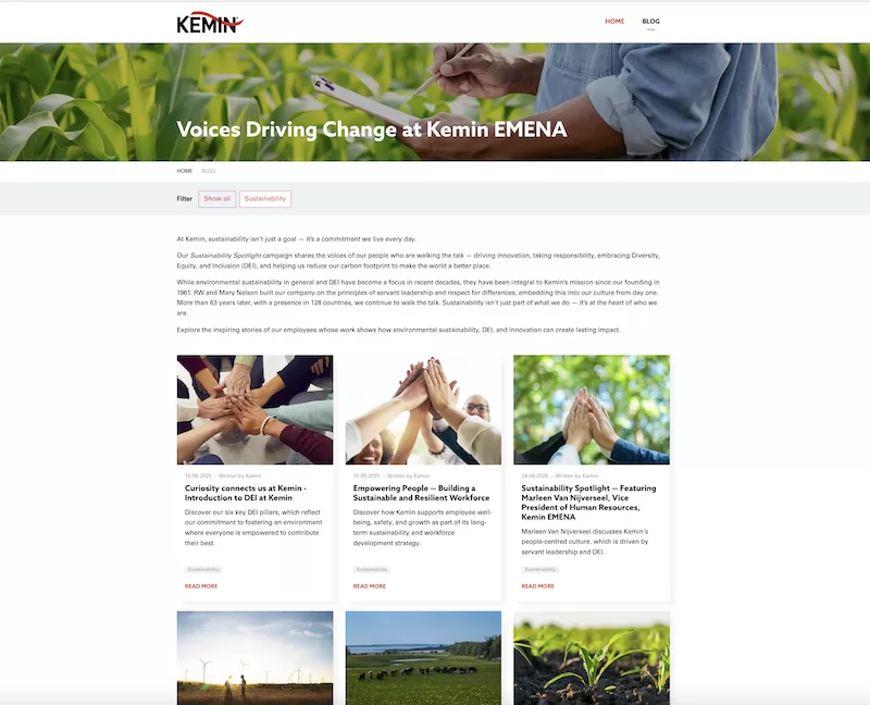 seo agency in the netherlands